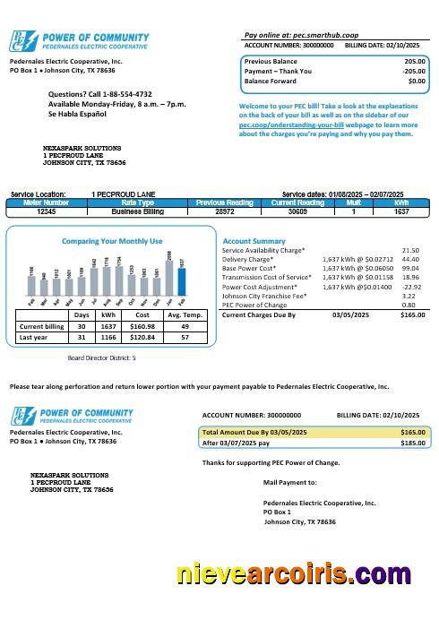 USA Texas Power of Community electricity business utility bill, good for address prove